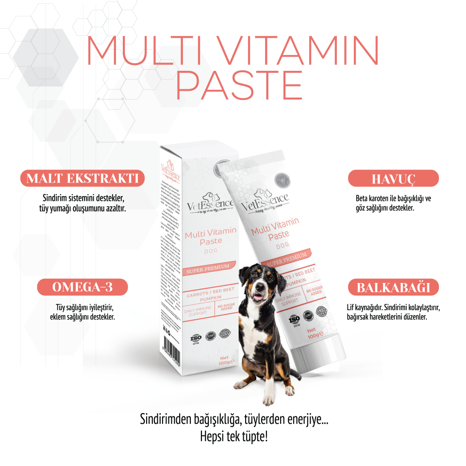 Vetessence Multi Vİtamin Paste Dog