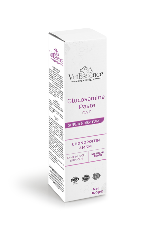 Vetessence Glucosamine Paste