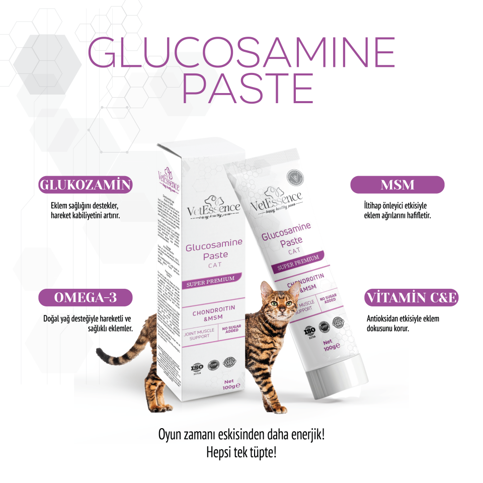 Vetessence Glucosamine Paste