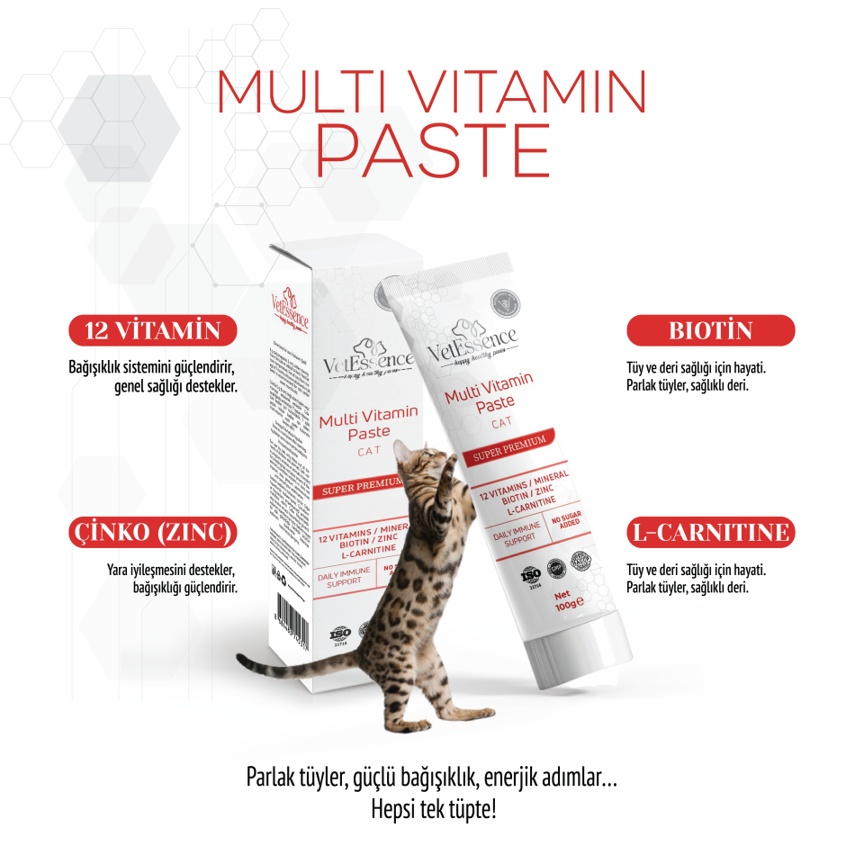 Vetessence Multi Vitamin Paste Cat