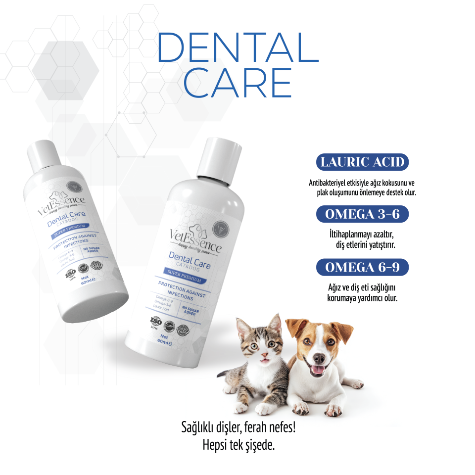 Vetessence Dental Care
